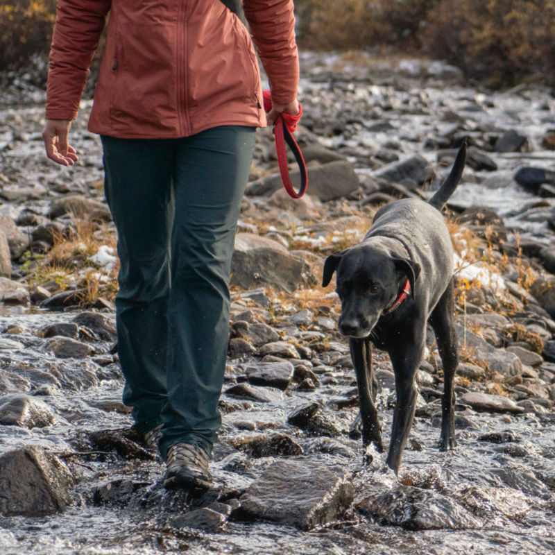 Tough Trail Dog Sling Pack