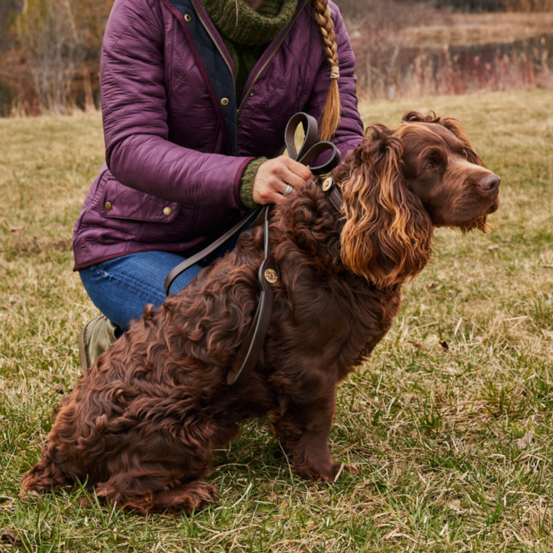 Leather Shotshell Dog Collar and Leash