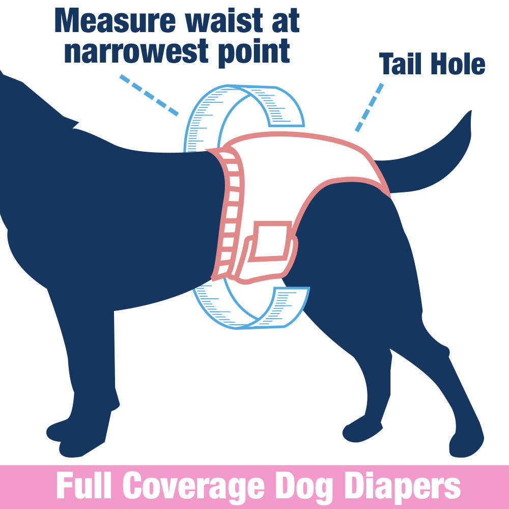 ValueFresh Female Dog Disposable Diapers, Medium, 144 Count - Full Coverage w/Tail Hole, Snag-Free Fasteners, Leak Protection, Wetness Indicator 