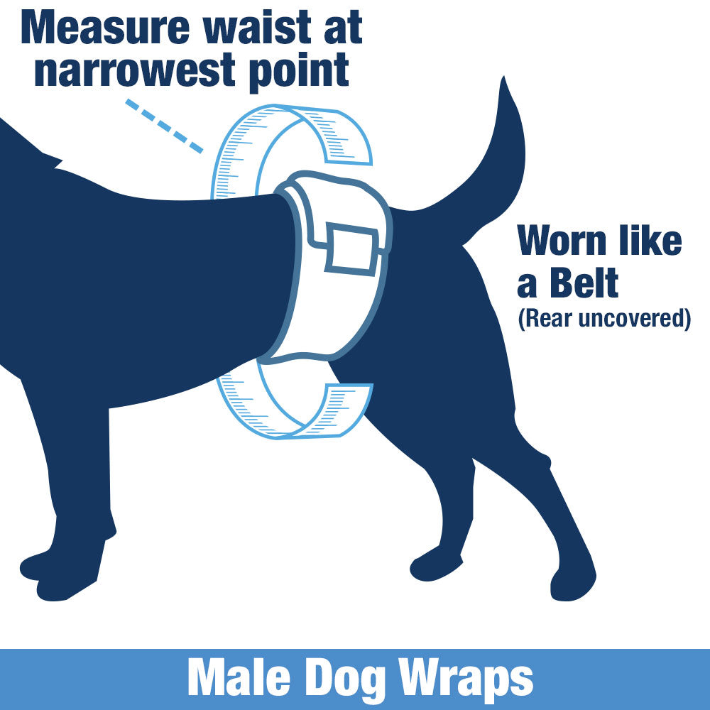 ValueWrap Male Wraps, Disposable Dog Diapers, Carbon, 1-Tab Medium, 144 Count - Activated Charcoal, Snag-Free Fastener, Leak Protection, Wetness Indicator 